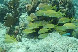 Curacao 04-12 074